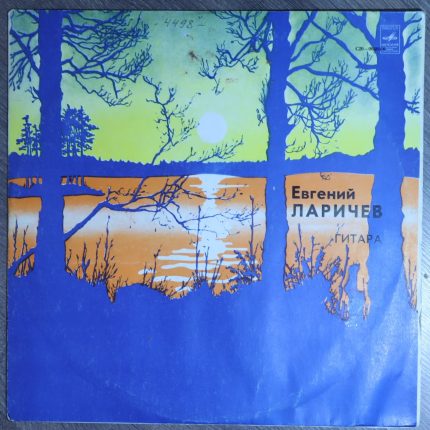 Евгений Ларичев - гитара