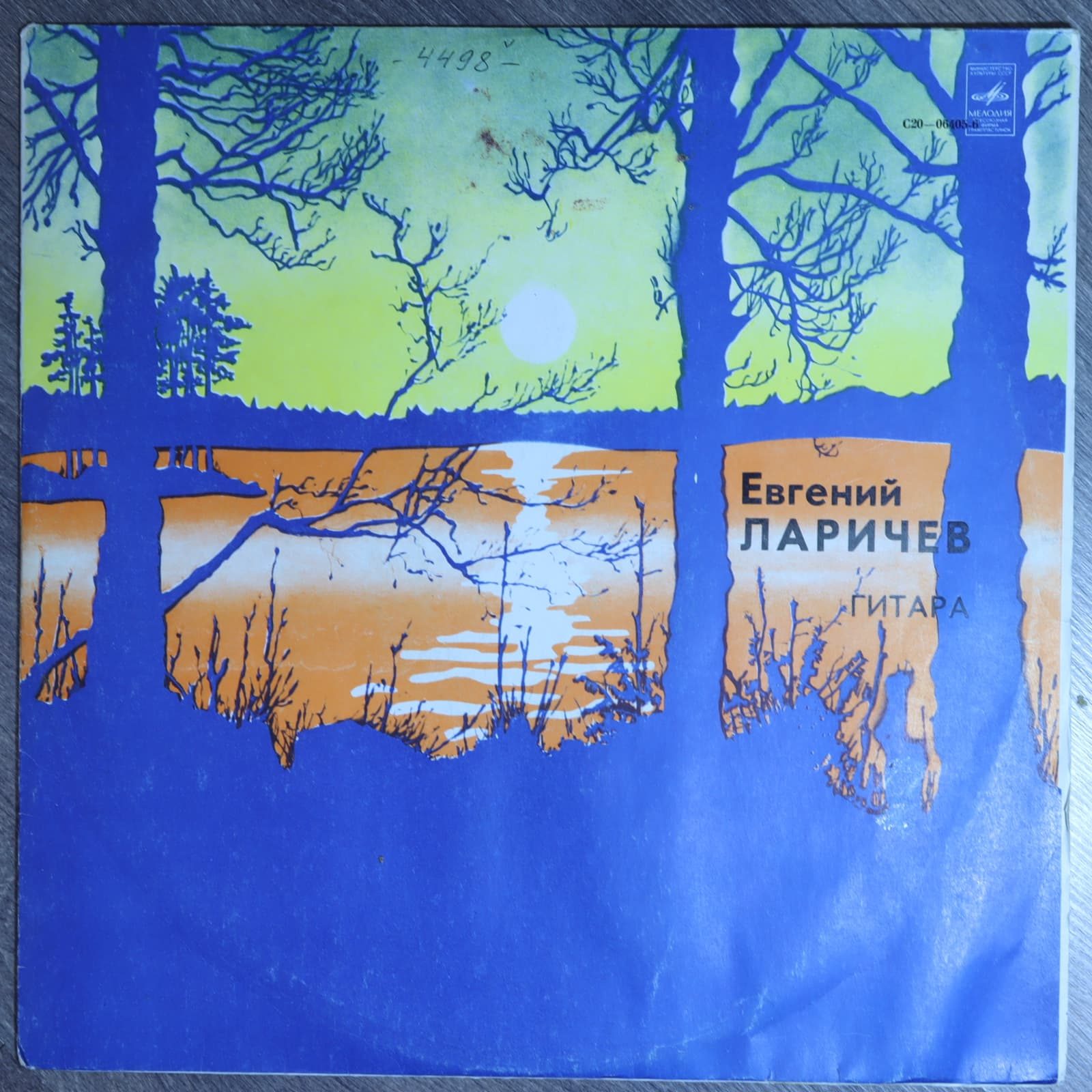 Евгений Ларичев - гитара Евгений Ларичев - гитара