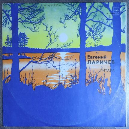 Евгений Ларичев - гитара