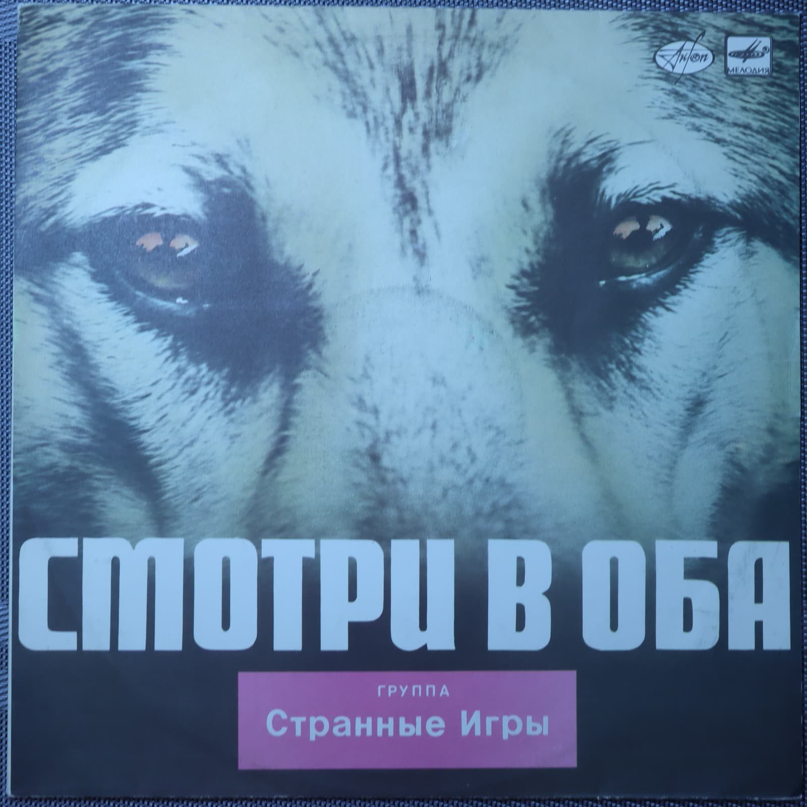 Странные игры – Смотри в оба Странные игры – Смотри в оба