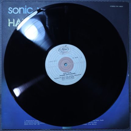 Sonic Youth – Нация мечтателей